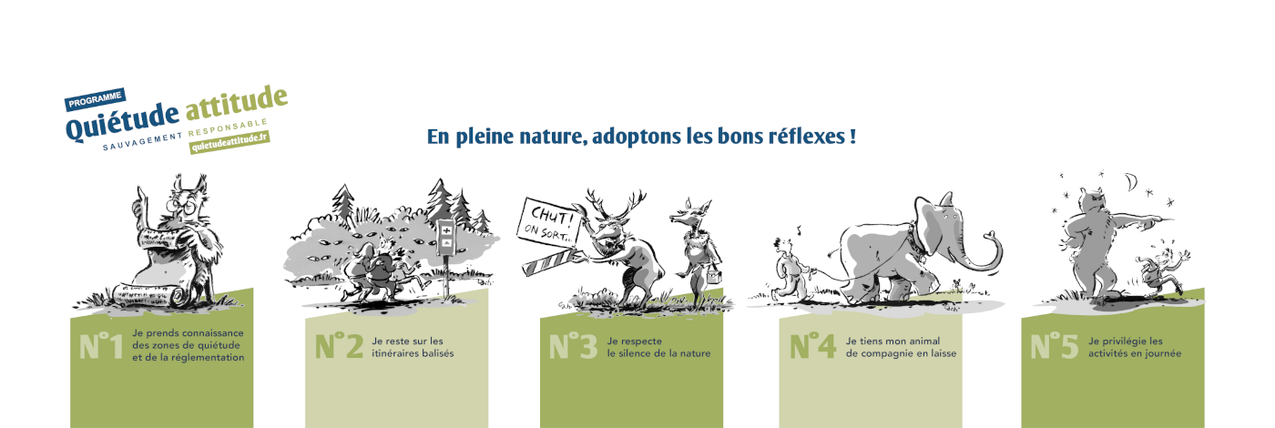 Quiétude attitude. En pleine nature adoptions les bons réflexes